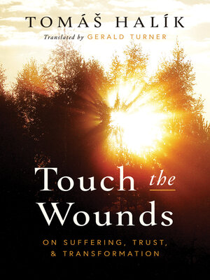 cover image of Touch the Wounds